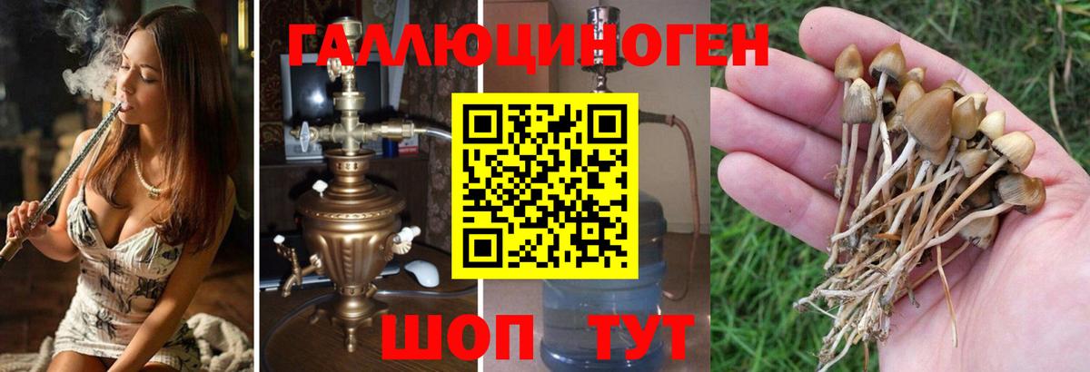 Углич  Псилоцибиновые грибы Magic Shrooms  Галлюциногенные грибы мицелий  Вход с VPN 