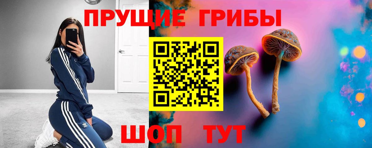 Галлюциногенные грибы прущие грибы Углич